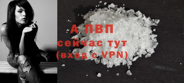 шишки Белокуриха