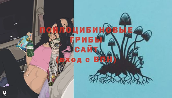 каннабис Беломорск