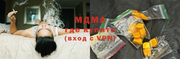 шишки Белокуриха