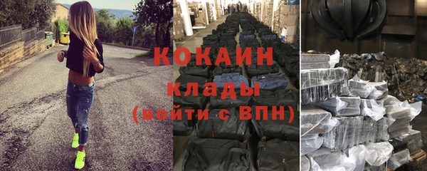 шишки Белокуриха