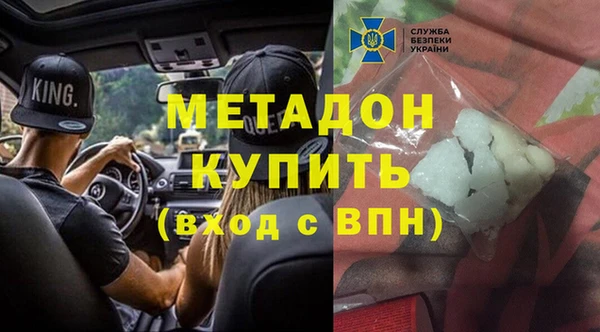 шишки Белокуриха