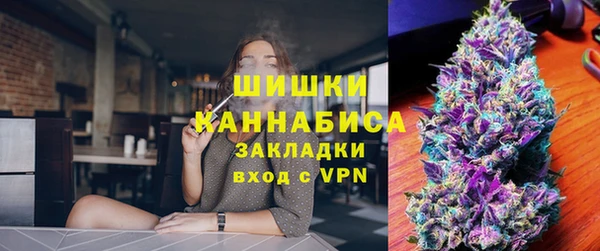 шишки Белокуриха