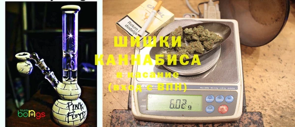 шишки Белокуриха