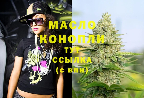 шишки Белокуриха
