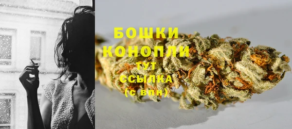 каннабис Беломорск